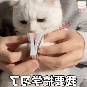 2345_image_file_copy_8.jpg